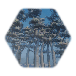 Group of Winter trees