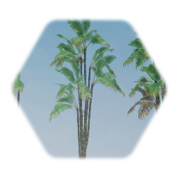 Costa Rican bamboo Palm