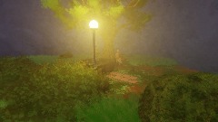 An early, foggy morning in the park