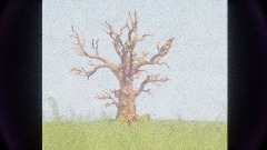 ¤