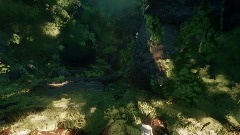 Sakura Forest