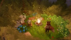 A night in the woods.