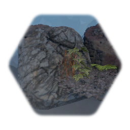 Rock and plants