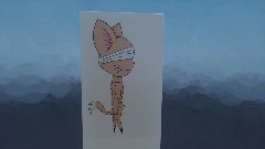 Psyco Cat Walking test