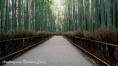 A screenshot taken in Dreams. 5 of 25.