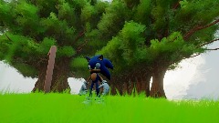 Sonic 90 florest