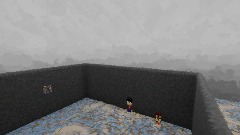 Level 1