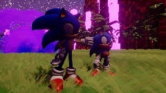 Sonic and Classic Sonic save knuckles