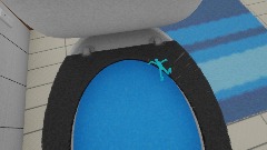 Falling into the Toilet!