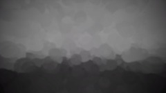 Mi creación - 22/2/2020