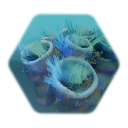 Coral Reef Assets