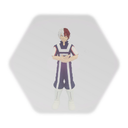 (Festival) Shoto Todoroki