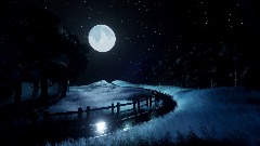 A Walk with the Stars