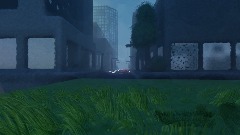 A walk in the park