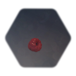 Raspberry