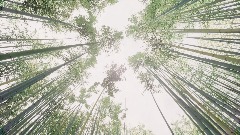 A screenshot taken in Dreams. 2 of 3.