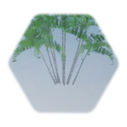 Areca palms