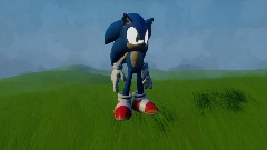 Sonic's Marathon