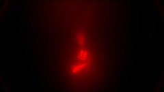 A screenshot taken in Dreams. 3 of 7.