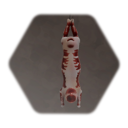 Butcher's Shop Lamb Carcass