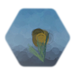 Rock formations & Flora - 23/1/2019