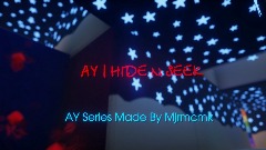 AY | HIDE N SEEK