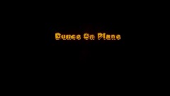 Dunce On Plane