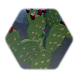 Pokey Pear Cactus