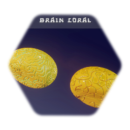 Brain Coral
