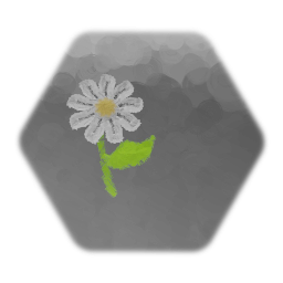 Daisy Flower