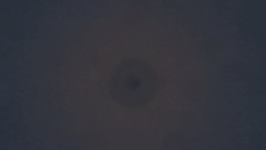 A screenshot taken in Dreams. 3 of 8.