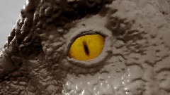 I am letting 2 people have early access to this model