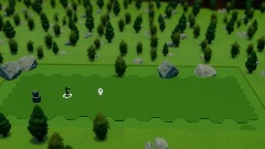 Invasion