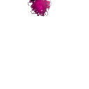 Un1c0rn_P