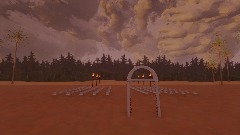 Wedding on the Beach