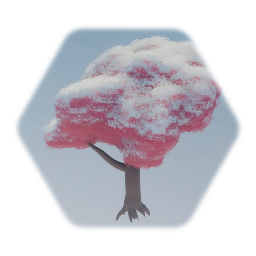 Tree trees snow to green to autumn to sands all in one.