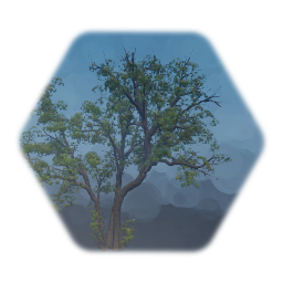 Cottonwood Tree Cluster