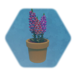 Potted Foxgloves