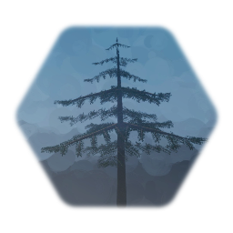 Pine Tree
