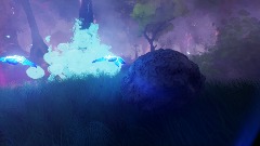 The enchanted forest