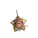 Fat_scary_cat77