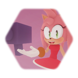 Amy Rose's Perspective
