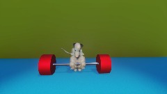 Opossum Lifting Weights (30mins Challenge)
