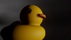 Duck 0 G