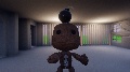 <term>@MooseMan_2020's Sackboy collection.