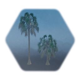 Gameplay Freindly Sabal Palm