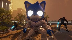 Ruget The cat: Combat Animation