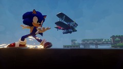 Amy Rose Race