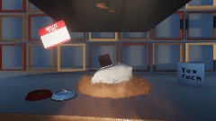 pet rock
