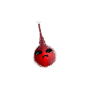 Kwazuluu